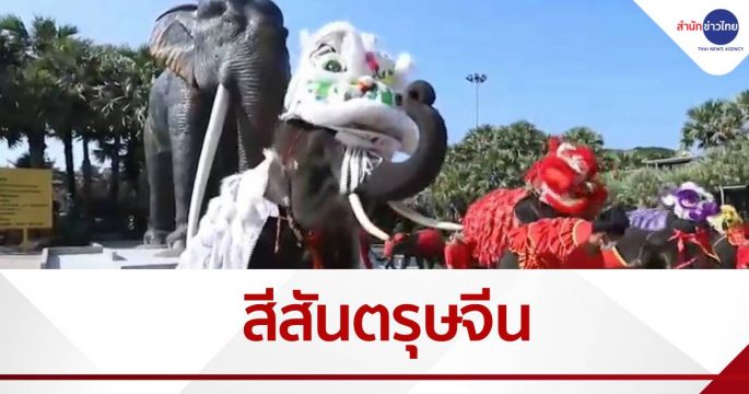 สีสันตรุษจีน ช้างเชิดสิงโต