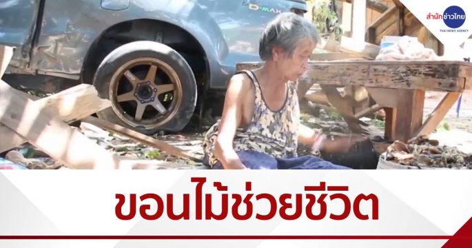 รอดหวุดหวิด ขอนไม้ช่วยชีวิต