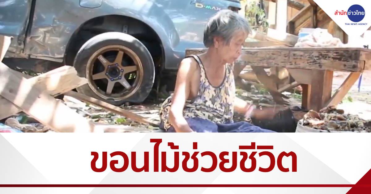 รอดหวุดหวิด ขอนไม้ช่วยชีวิต