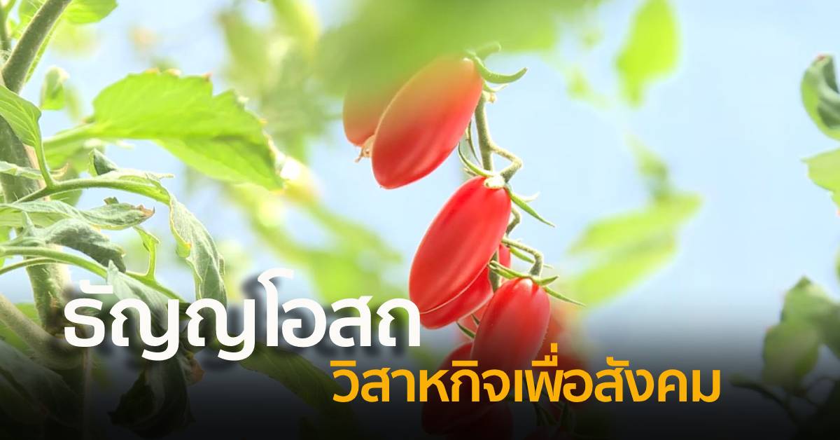 ธัญญโอสถ วิสาหกิจเพื่อสังคม