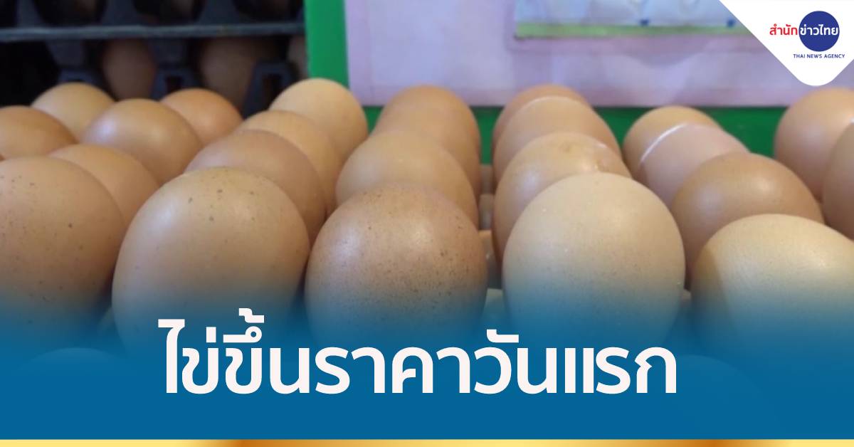 สำรวจตลาด หลังไข่ไก่ขึ้นราคาวันแรก ผู้บริโภคโอด วอนรัฐช่วยแก้