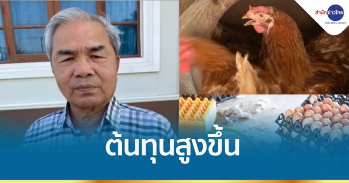 นายกสมาคมผู้เลี้ยงไก่ไข่ แจงเหตุปรับราคาเพราะต้นทุนสูงขึ้น