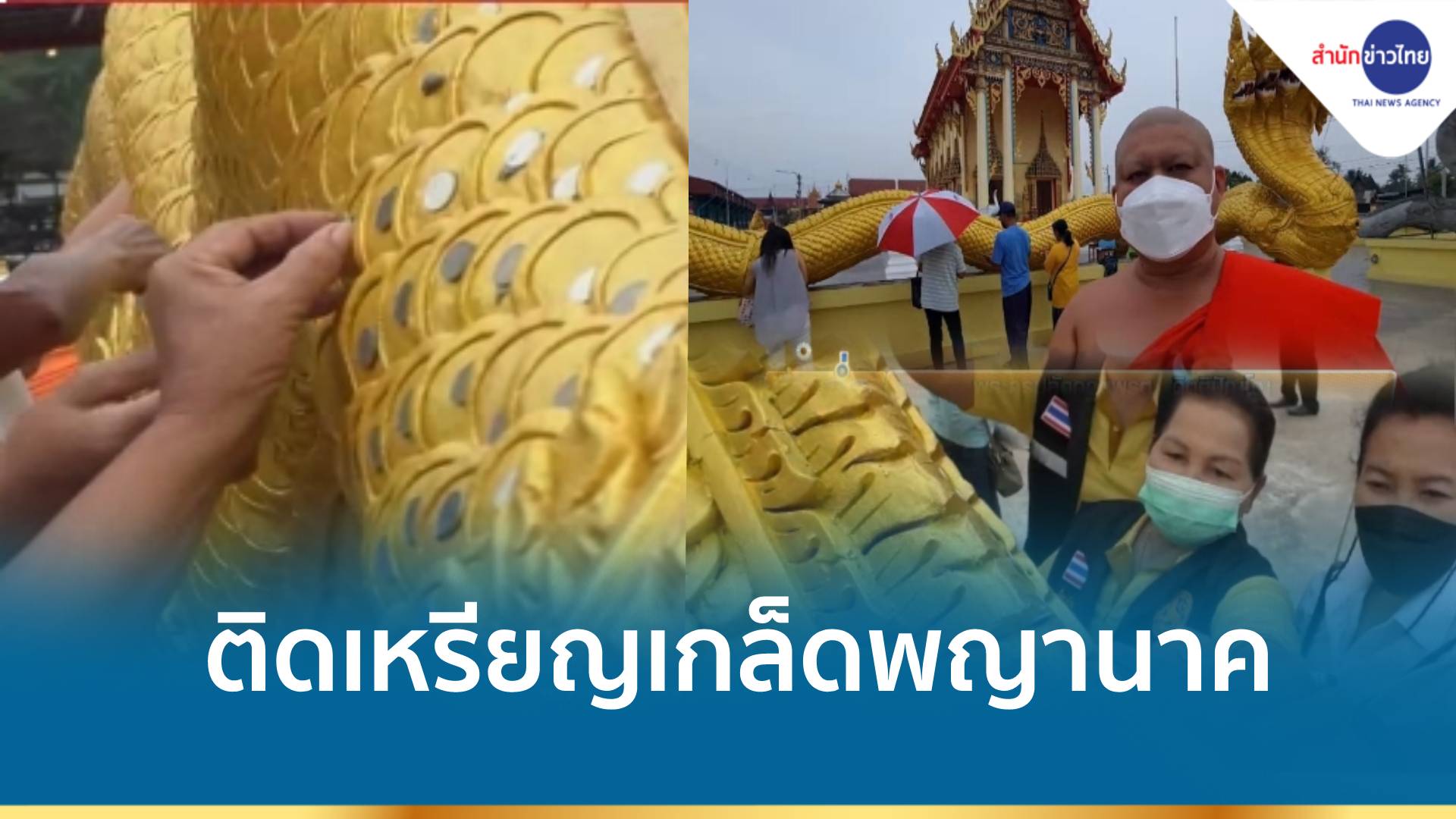 ติดเหรียญเกล็ดพญานาค