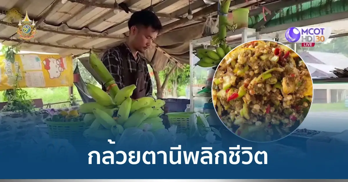 ส้มตำกล้วยตานี
