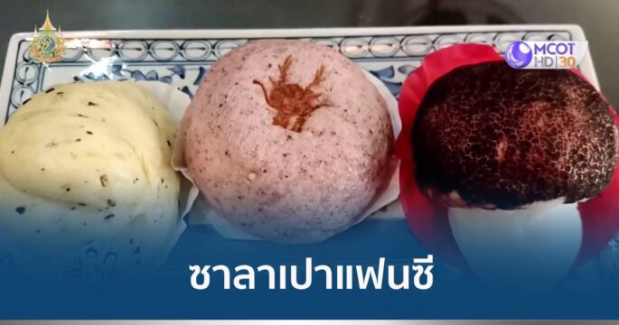 ซาลาเปาแฟนซี