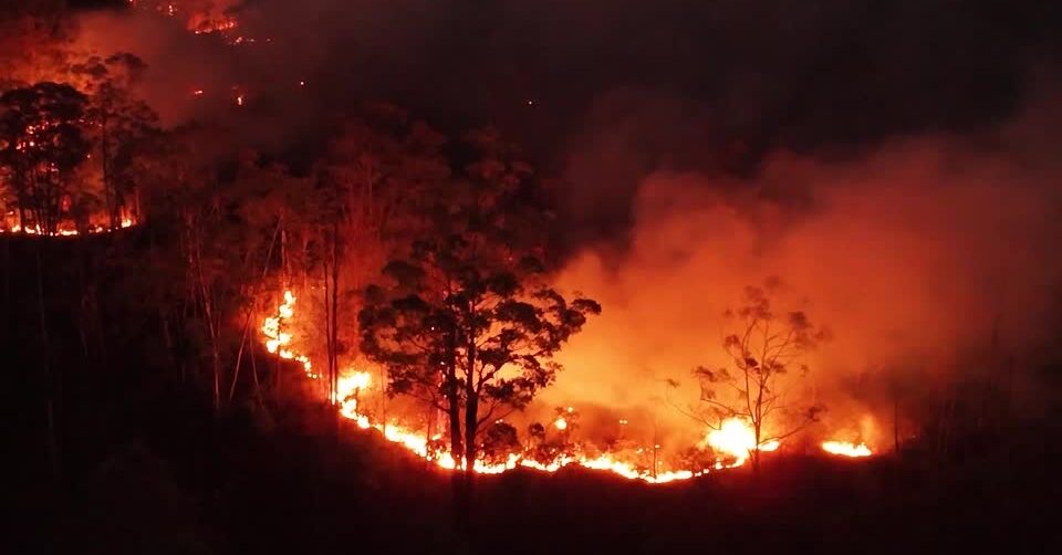 Forest burning at night in Brazil