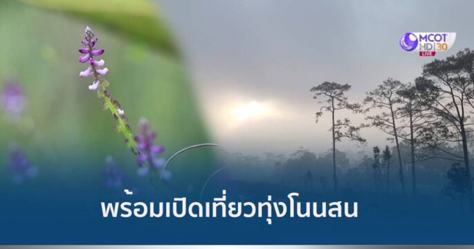 ทุ่งโนนสน ทุ่งแสลงหลวง