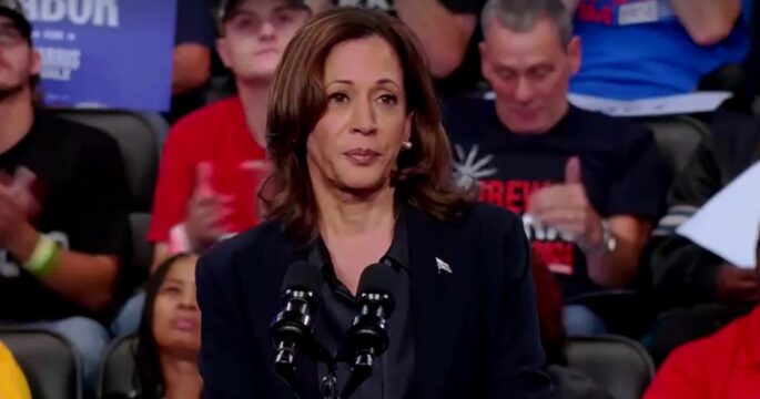 Harris during campaign rally in Michigan