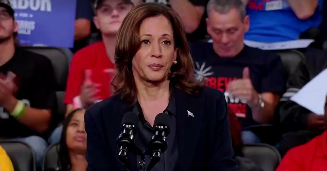 Harris during campaign rally in Michigan