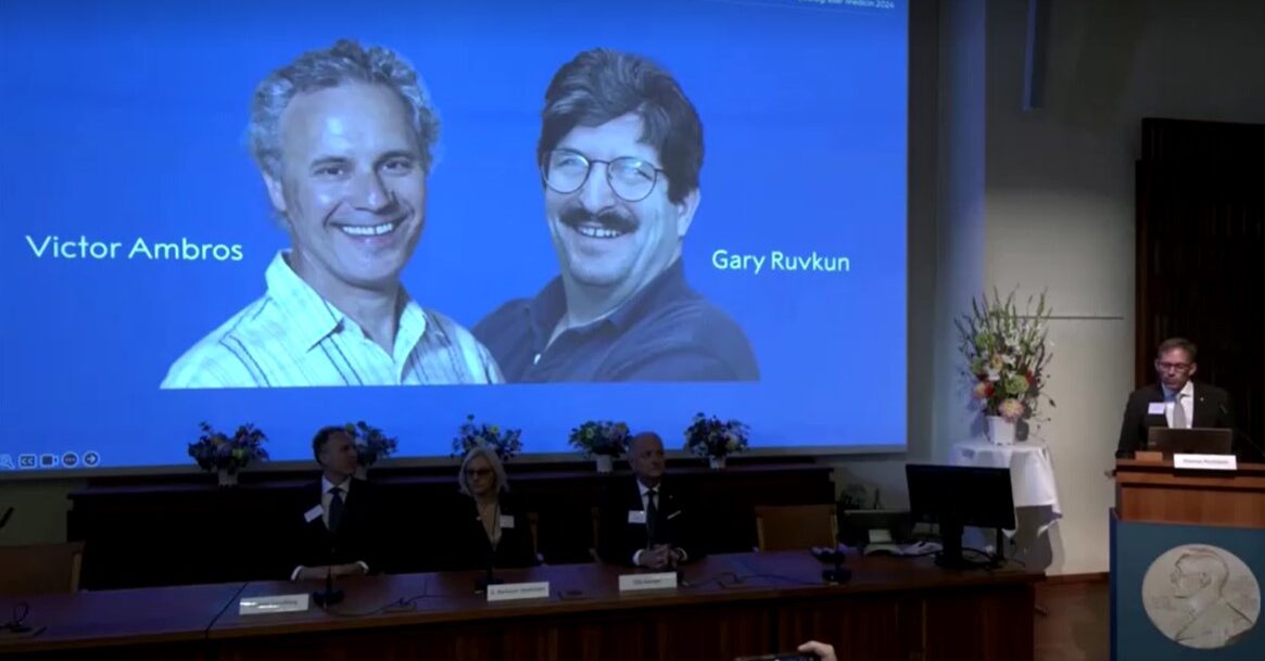 Nobel prize for medicine goes to U.S. scientists Ambros and Ruvkun