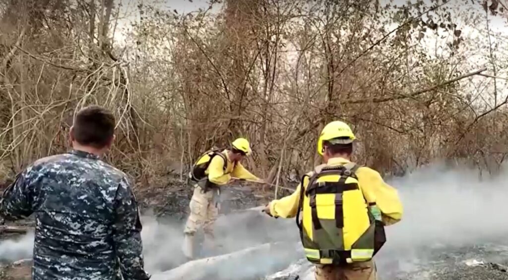 Bolivia wildfires burn record area 