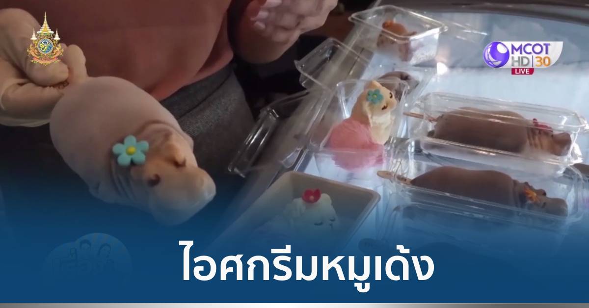 ไอศกรีมหมูเด้ง