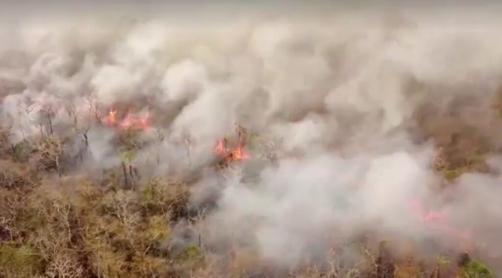 wildfire in Bolivia