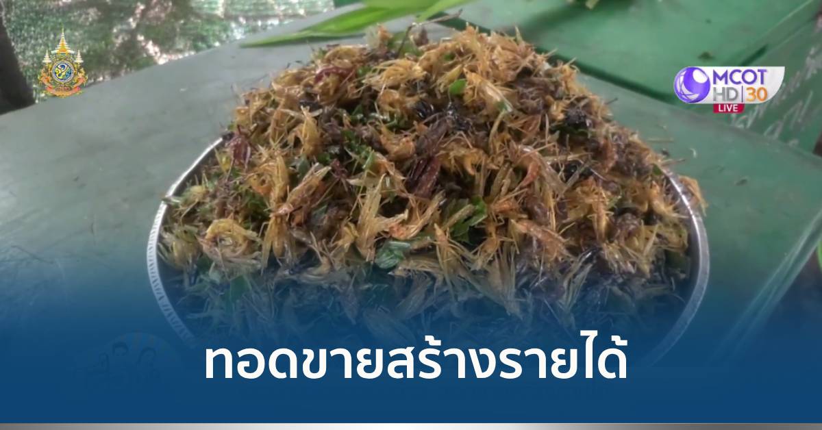 แมงมันข้าว