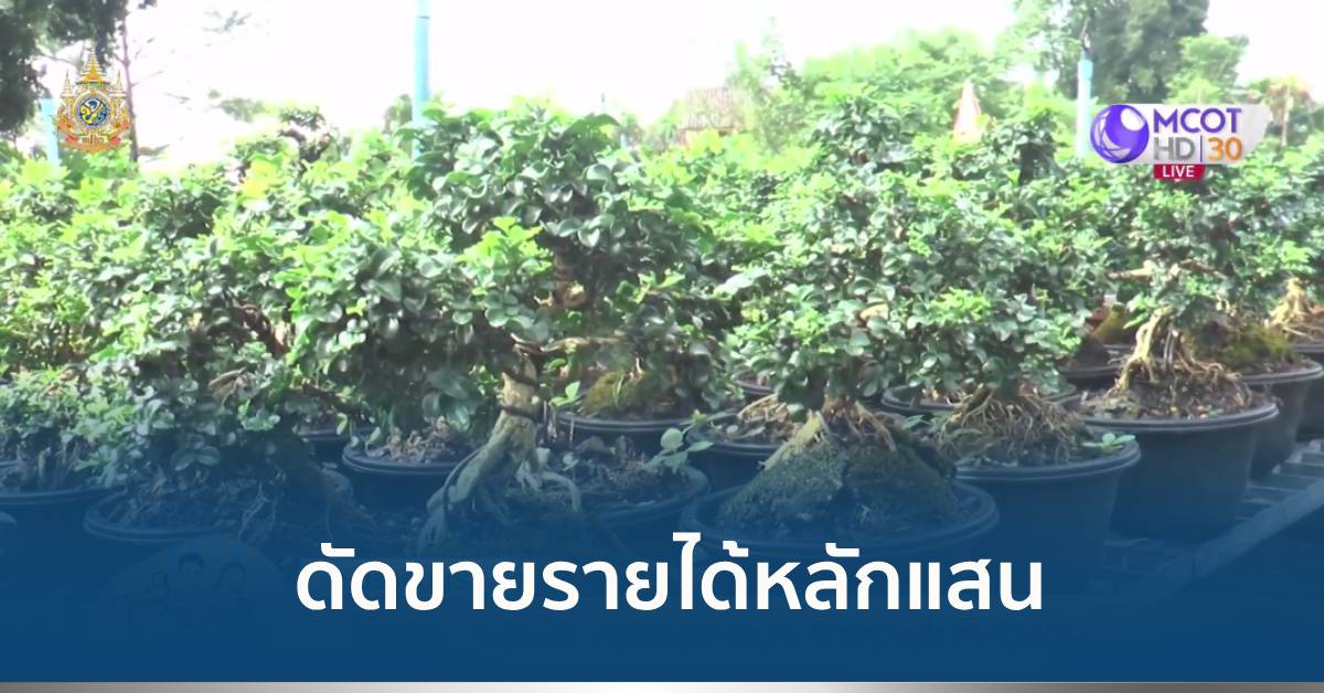 บอนไซ