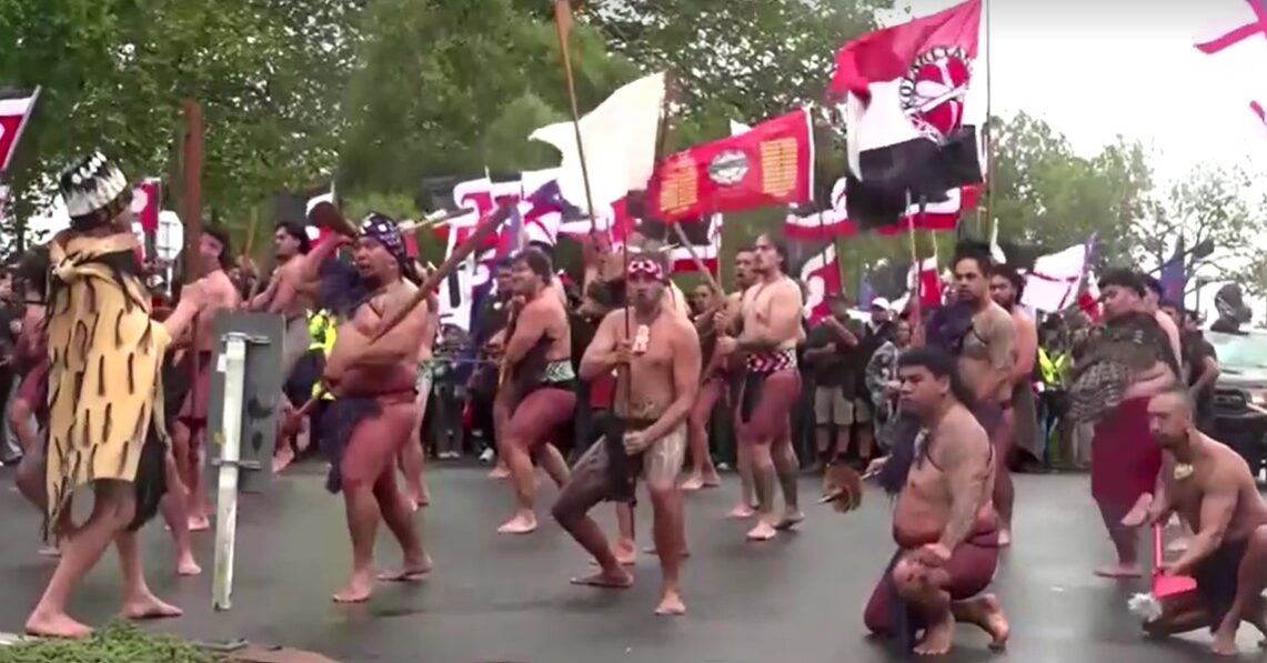 New Zealanders march towards Wellington to protest Indigenous treaty bill