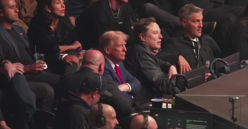 Trump attends UFC match with Musk