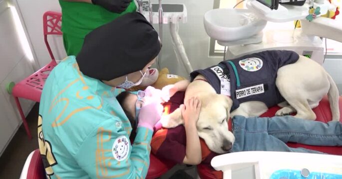 Friendly labrador Aldo calms Ecuadorean kids at dentist's office