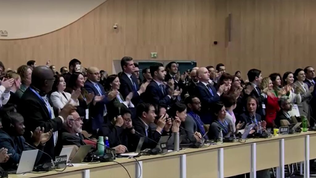 delegations in COP29 standing ovation