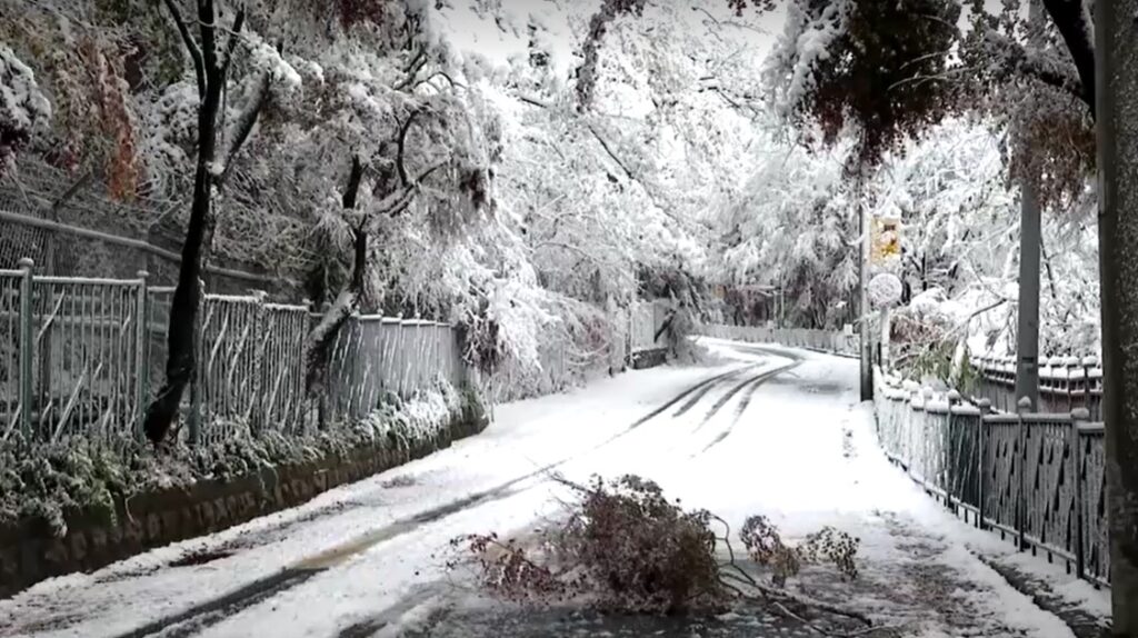 Heaviest November snow on record hits South Korea