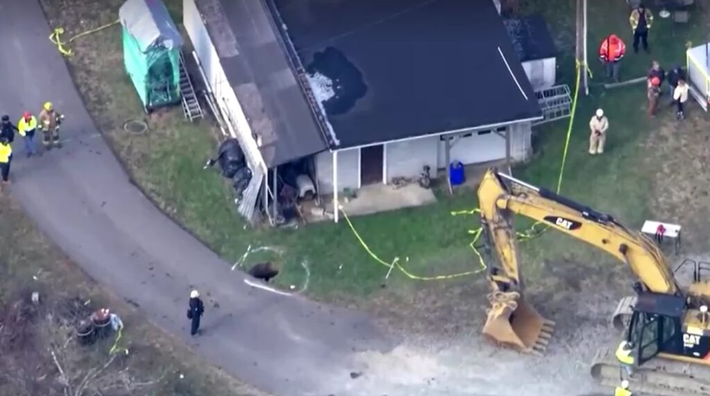 Search underway for woman who may have fallen into sinkhole while searching for her cat 