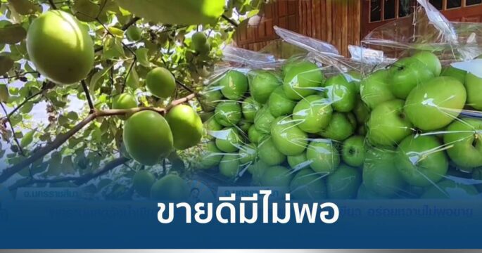 พุทรานมสด