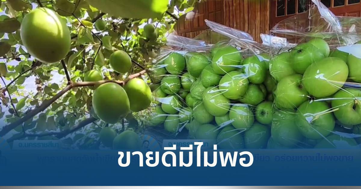 พุทรานมสด