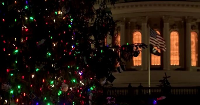 lightened Christmas tree in front of U.S. Capitol