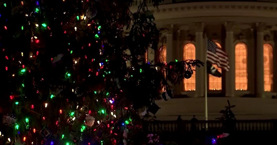 lightened Christmas tree in front of U.S. Capitol