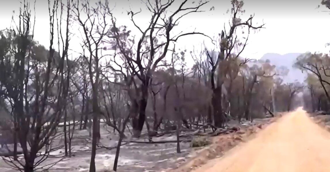 Out-of-control Australian national park bushfire destroys trees into black