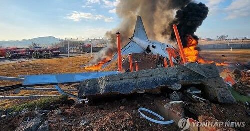 28 dead as jet carrying 181 people crashes while landing in S. Korea's Muan