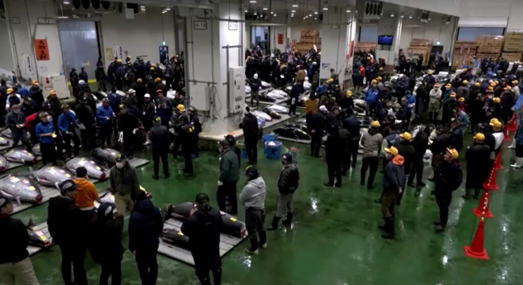 Japan New Year's tuna auction in Toyosu fish market