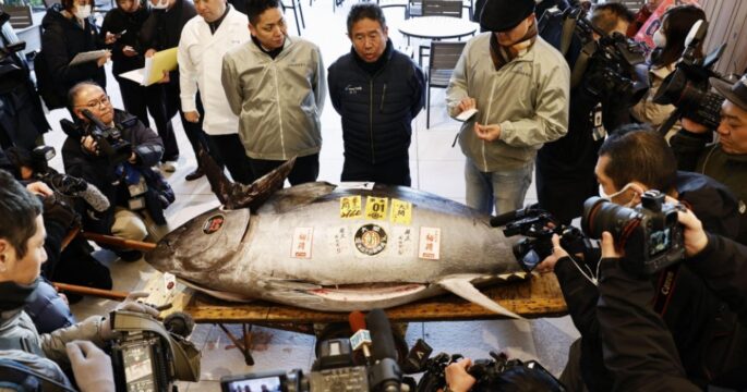 bluefin tuna fetched 207 million yen during the year's first auction at Toyosu fish market on Jan. 5, 2025