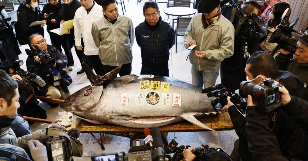 bluefin tuna fetched 207 million yen during the year's first auction at Toyosu fish market on Jan. 5, 2025