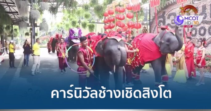 ตรุษจีนสวนนงนุช