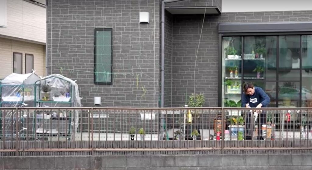 Japanese grow their own produce to fight soaring food prices