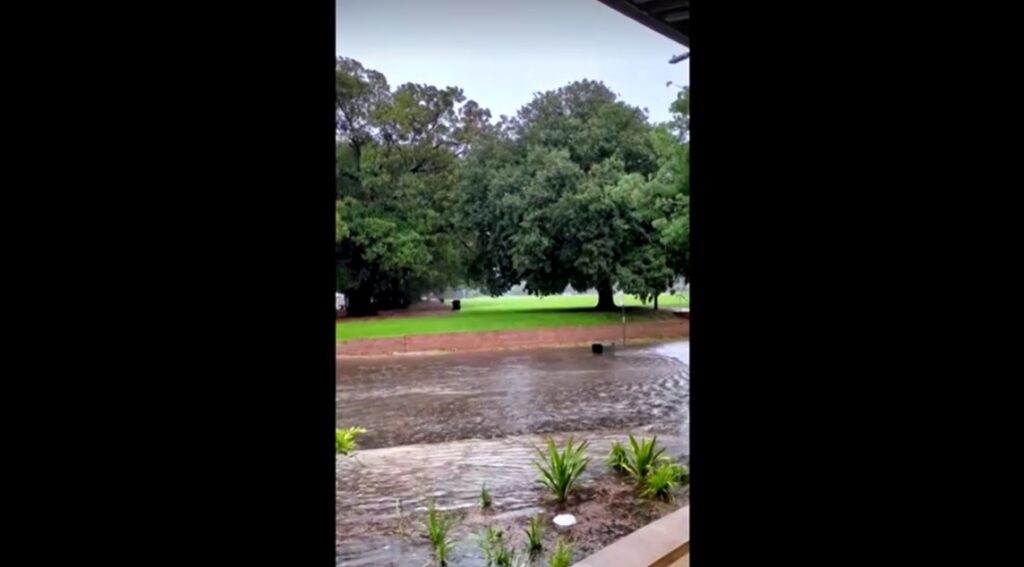 garbage bin floating down the street near Sydney Fish Market flooded