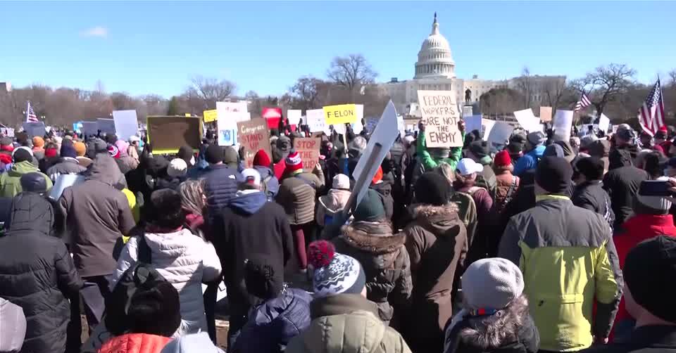 Thousands protest Trump and Musk in Washington