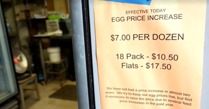 notice on egg price raising