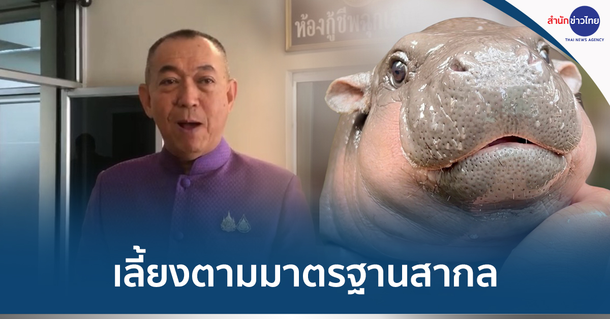 เลี้ยงหมูเด้ง