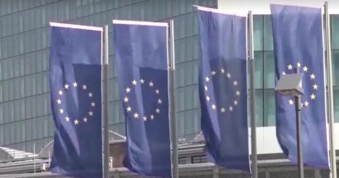 EU flags