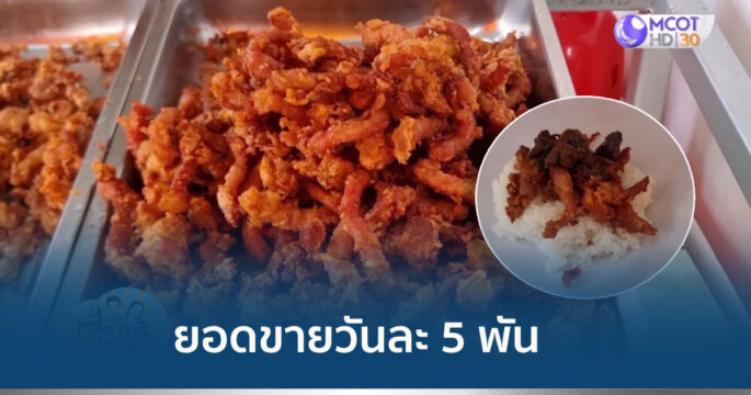 ข้าวเหนียวหมูทอด