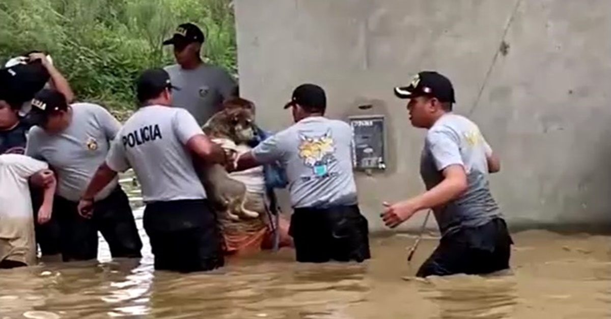 Rescue teams retrieve people and pets from floods in central Peru edit