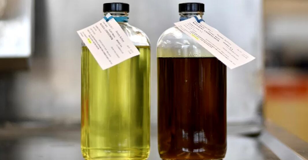 bottles of canola oil