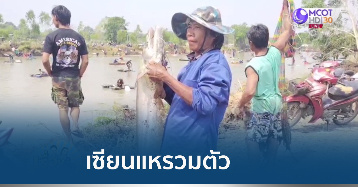 เซียนแห