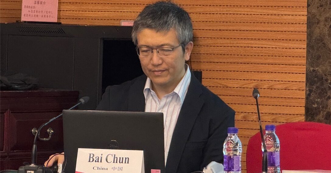 Professor Bai Chun, Beijing Foreign Studies University (BFSU)