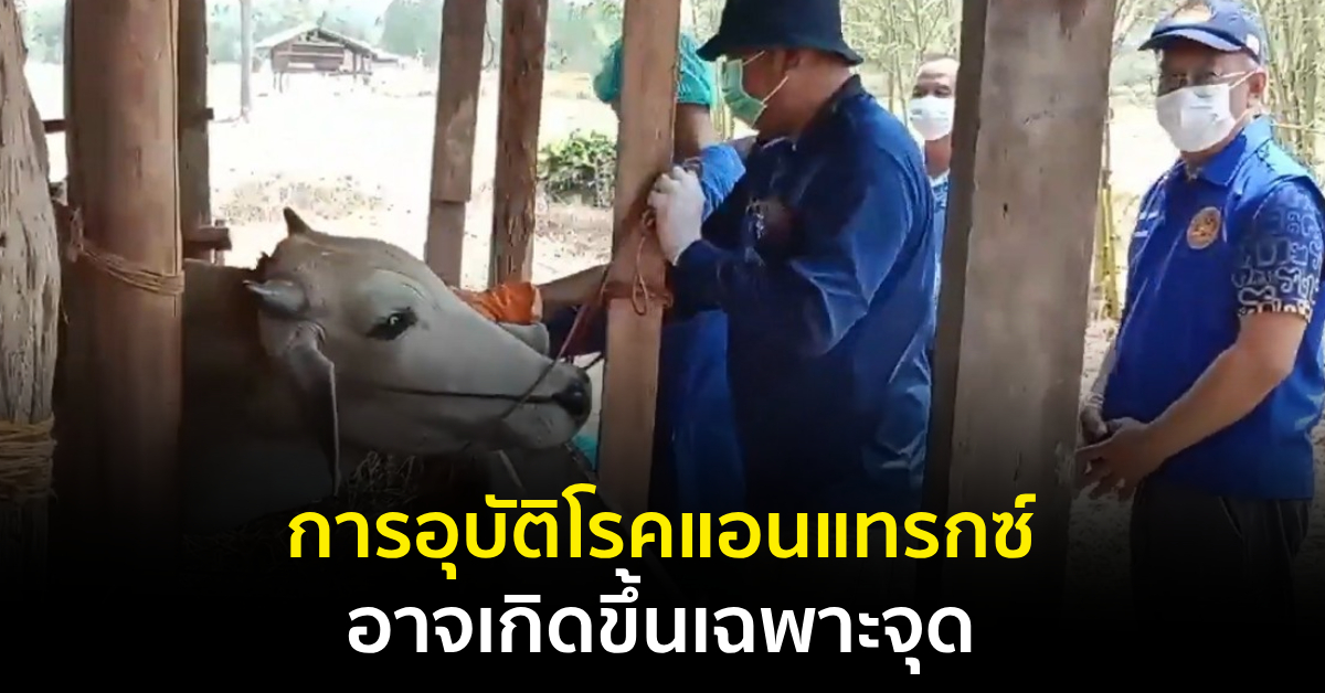โรคแอนแทรกซ์
