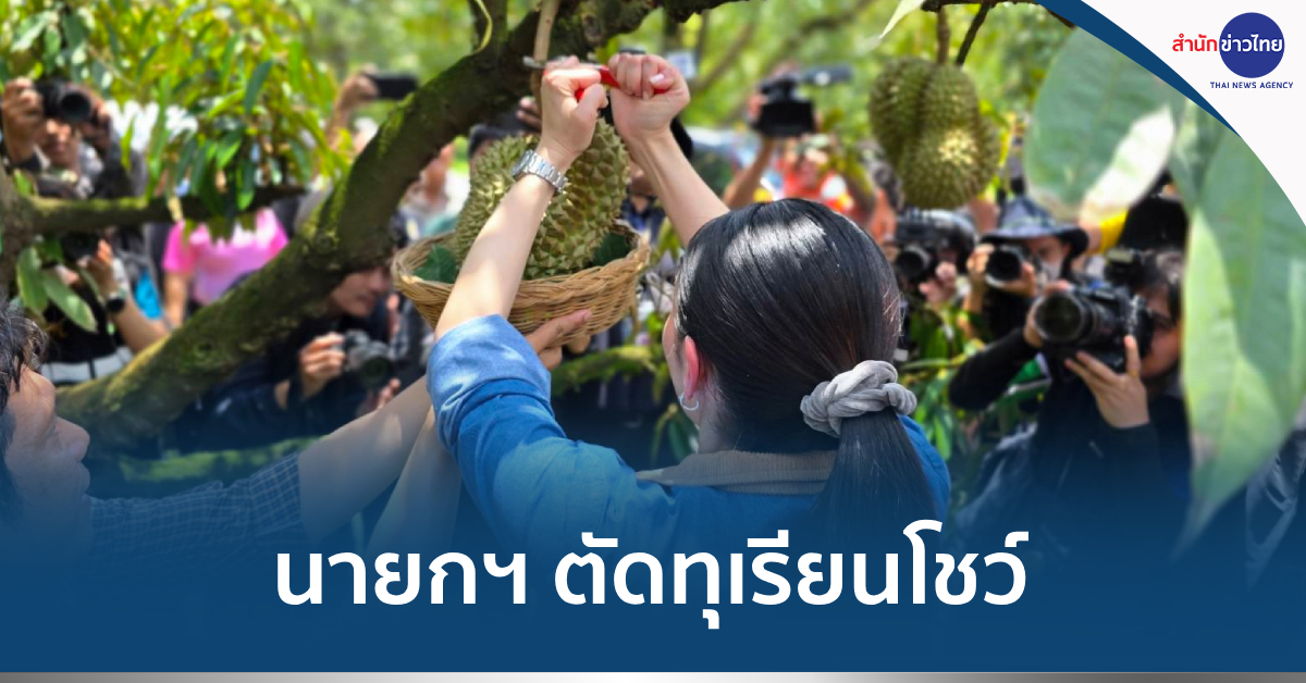 ตัดทุเรียนโชว์