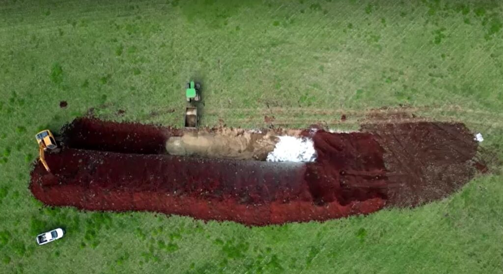 Brazil poultry farm disinfected and stock destroyed in bid to contain bird flu outbreak