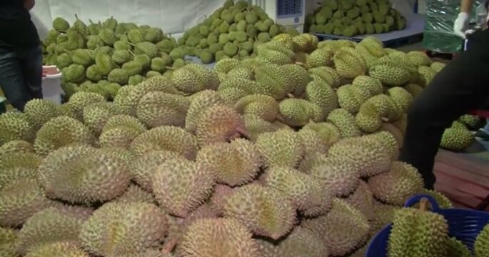 pile of durians